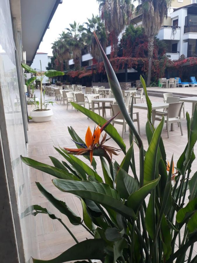 Готель Club Jovia Kemer Анталія Екстер'єр фото
